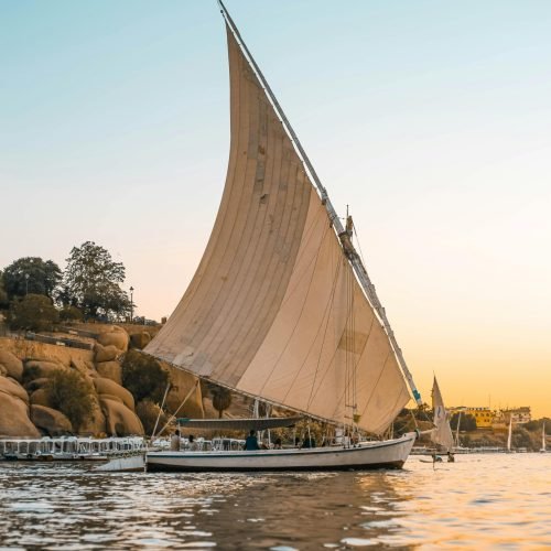 pexels-ozgomz-7566888 (1)